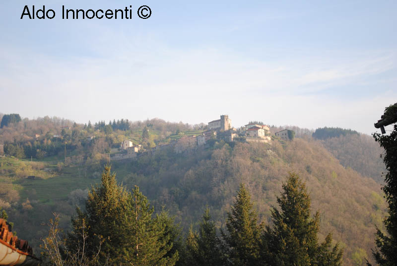 BRUCCIANO: PANORAMA 2' IMMAGINE